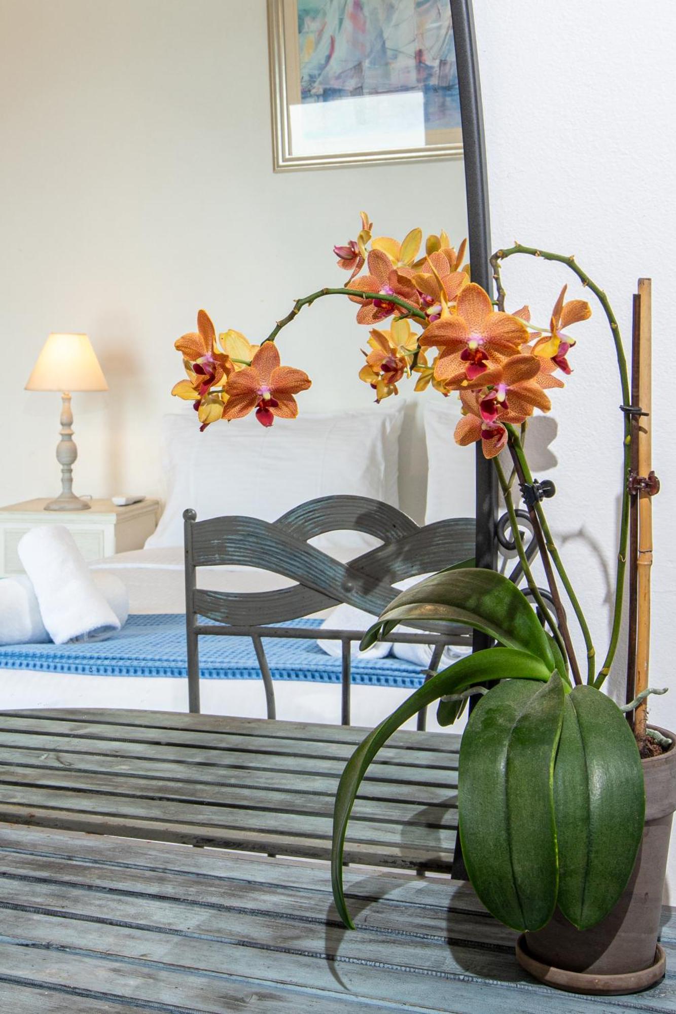Dimitra Apartment With Private Pool And Sea View -The Ground Floor Of A Two Storey Building Daratsos Eksteriør bilde